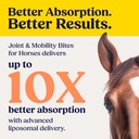 summit-equine-joint-mobility-bites-daily-81cbtrfZ76L.jpg