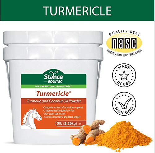 stance-natural-turmeric-powder-for-horse-51u+j2rKXsL.jpg