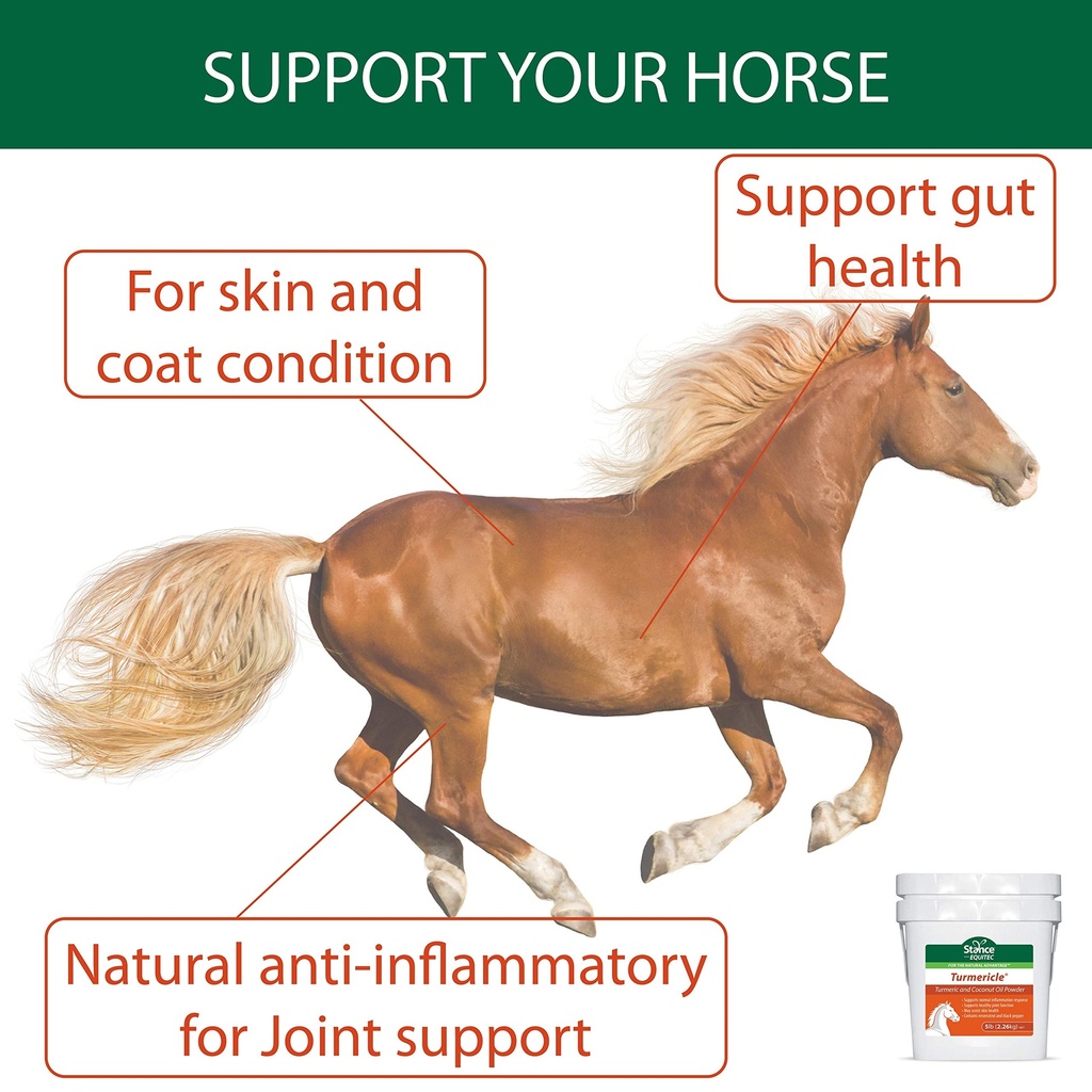 stance-natural-turmeric-powder-for-horse-81+50iHa7cL.jpg