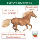 stance-natural-turmeric-powder-for-horse-81+50iHa7cL.jpg