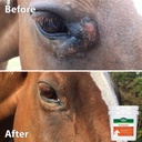 stance-natural-turmeric-powder-for-horse-91UpxdYu+iL.jpg