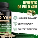 bmvinvol-wild-yam-supplement-red-clover--81NjqSxoEbL.jpg