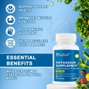 safrel-potassium-supplement-1020-mg120-s-3.jpg
