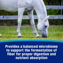 farnam-hindgut-stabilizer-pellets-daily--91bdtzRdtTL.jpg