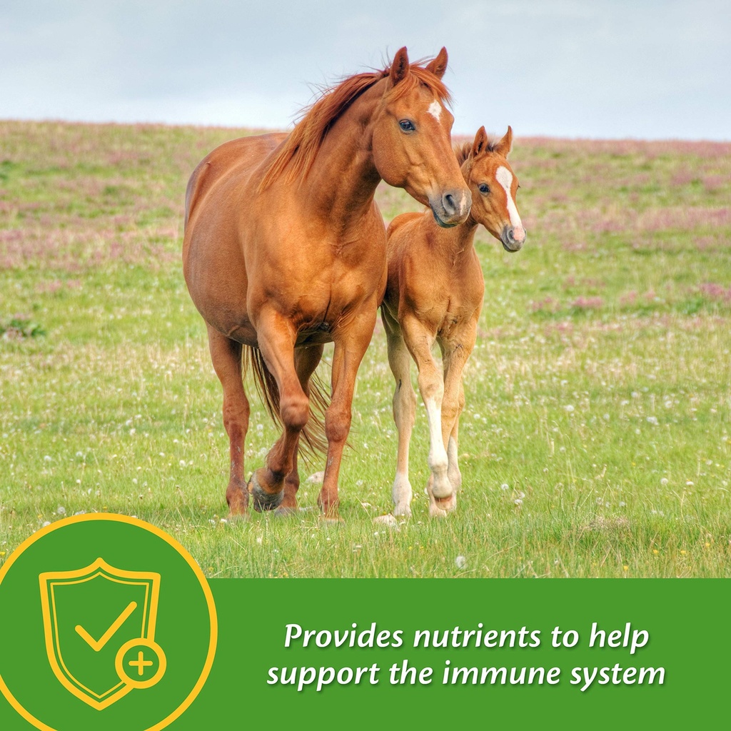 farnam-grow-colt-supplement-for-foal-gro-91n5-bDOAQL.jpg
