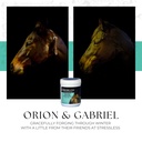 stressless-hot-horse-supplement-60-day-s-71G80qmqESL.jpg