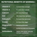 high-strength-moringa-leaf-extract-60-ca-61o-vhD5wZL.jpg