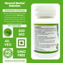 jatamansi-capsules-500mg-60-count-vegeta-61WXcSkLisL.jpg