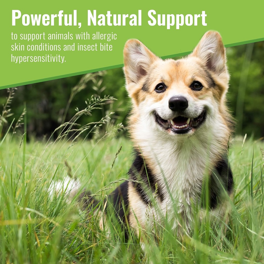 mushroom-matrix-canine-organic-mushroom--2.jpg