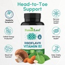 forestleaf-vitamin-b2-riboflavin-400mg-9-81FknsAFA8L.jpg