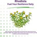 paradise-herbs-rhodiola-extract-500mg-su-5.jpg