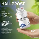 hallusa-natural-prostata-inflamada---pro-5.jpg