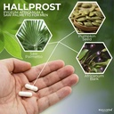 hallusa-natural-prostata-inflamada---pro-6.jpg