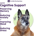 dr-bills-canine-cognitive-support-memory-3.jpg