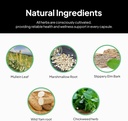 doctor-morses-gi-daily---gut-cleanse---d-6.jpg