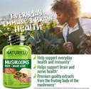 naturelo-mushroom-supplement-brain-immun-6.jpg