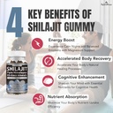 shilajit-gummies---600-mg-natural-organi-2.jpg