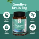 bundle-of-advanced-nootropics-brain-supp-4.jpg