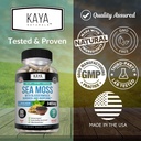 kaya-naturals-sea-moss---mobility-supple-4.jpg