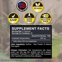 zenmen-immune-support-bundle-green-black-6.jpg
