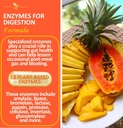 potent-garden-digestive-enzymes--18-plan-2.jpg