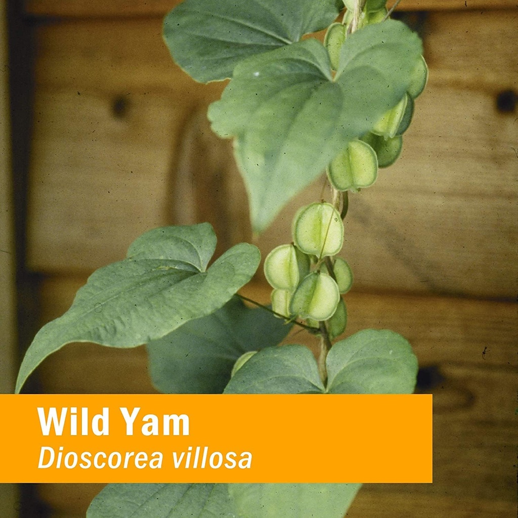 herb-pharm-certified-organic-wild-yam-li-6.jpg