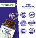 fineland-wild-blueberry-101-extract-6000-6.jpg