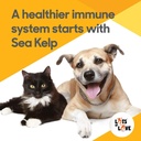 kelp-powder-for-dog-cat---organic-sea-ke-5.jpg