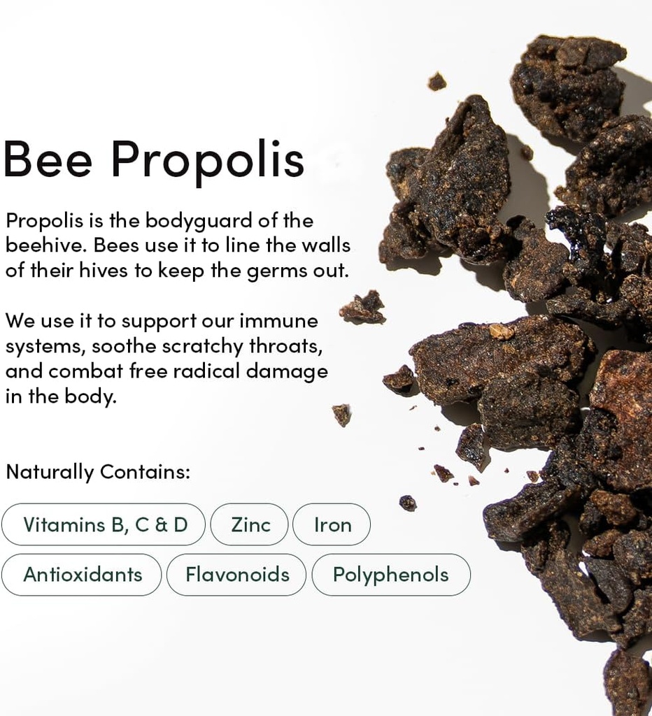 beekeepers-naturals-propolis-throat-spra-5.jpg