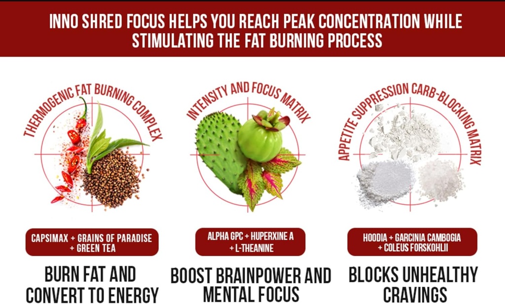 inno-shred-focus-day-time-fat-burner-100-4.jpg