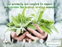 immune-strength-herbal-tincture-natural--4.jpg