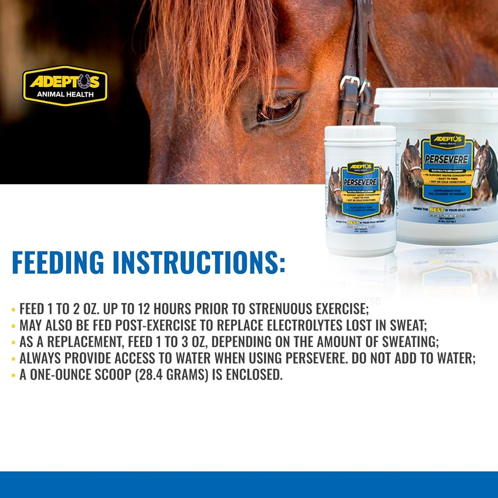 adeptus-nutrition-persevere-electrolyte--4.jpg