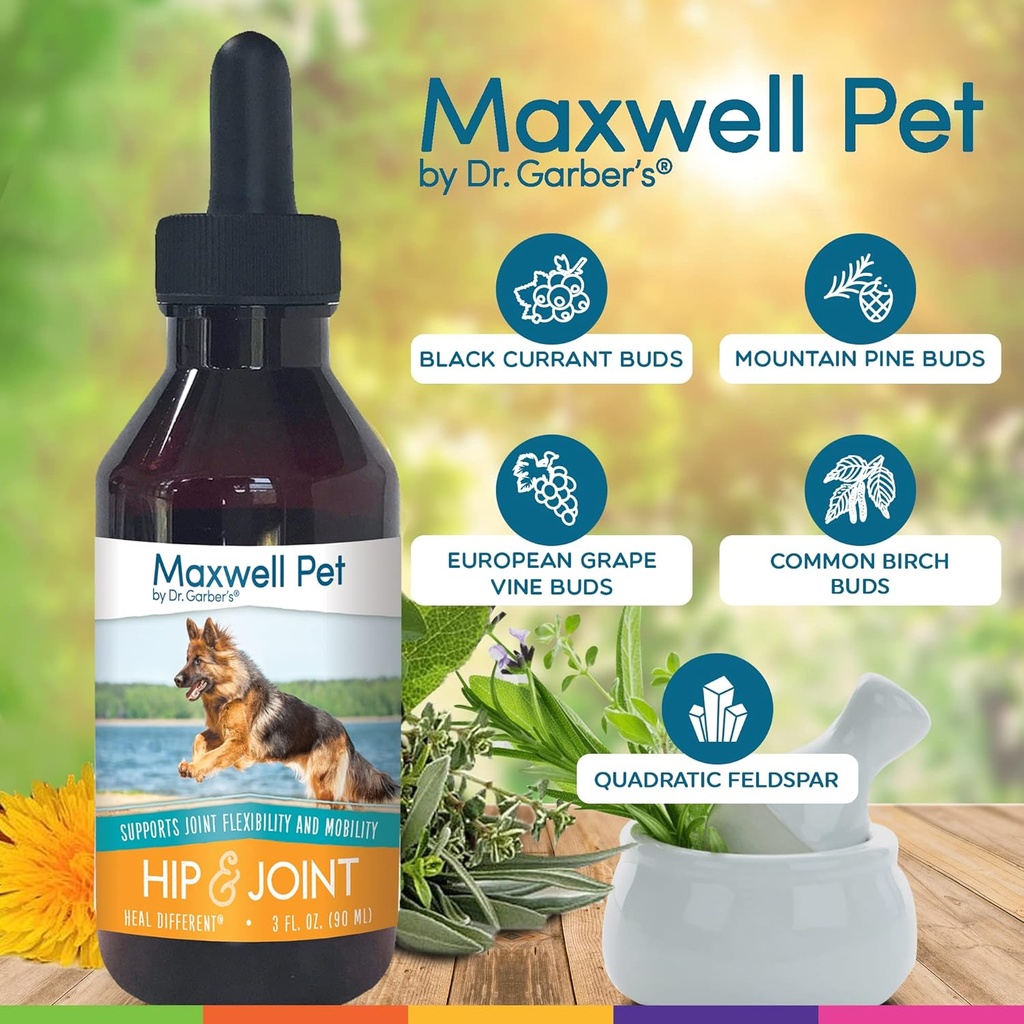 maxwell-pet-by-drgarber-hip-joint-for-do-3.jpg