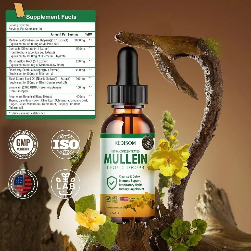 7-in-1-mullein-drops-for-lungs-2-fl-oz---3.jpg