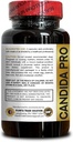 natural-ingredients-for-digestive-harmon-3.jpg