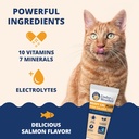 under-the-weather-pet-electrolytes-ready-3.jpg