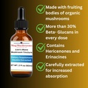 lions-mane-tincture-high-potency-double--3.jpg