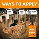 natural-antibiotics-for-dogs-for-allergi-5.jpg