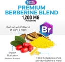 berberine-hcl-1200mg-supplement---berber-3.jpg