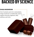 force-factor-modern-mushrooms-soft-chews-3.jpg
