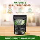 go-nutra-siberian-ginseng---eleuthero-ro-2.jpg