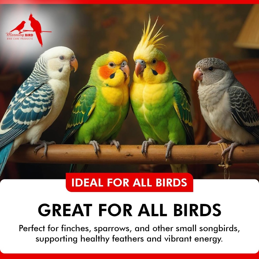 morning-bird-calcium-plus-powder-for-bir-3.jpg