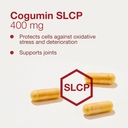 protocol-for-life-balance-cogumin-slcp-4-4.jpg