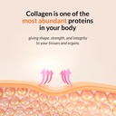 sane-md---youthful-glow-vital-collagen-p-4.jpg