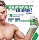 dr-vitamin-solutions-thermogenic-fat-bur-4.jpg