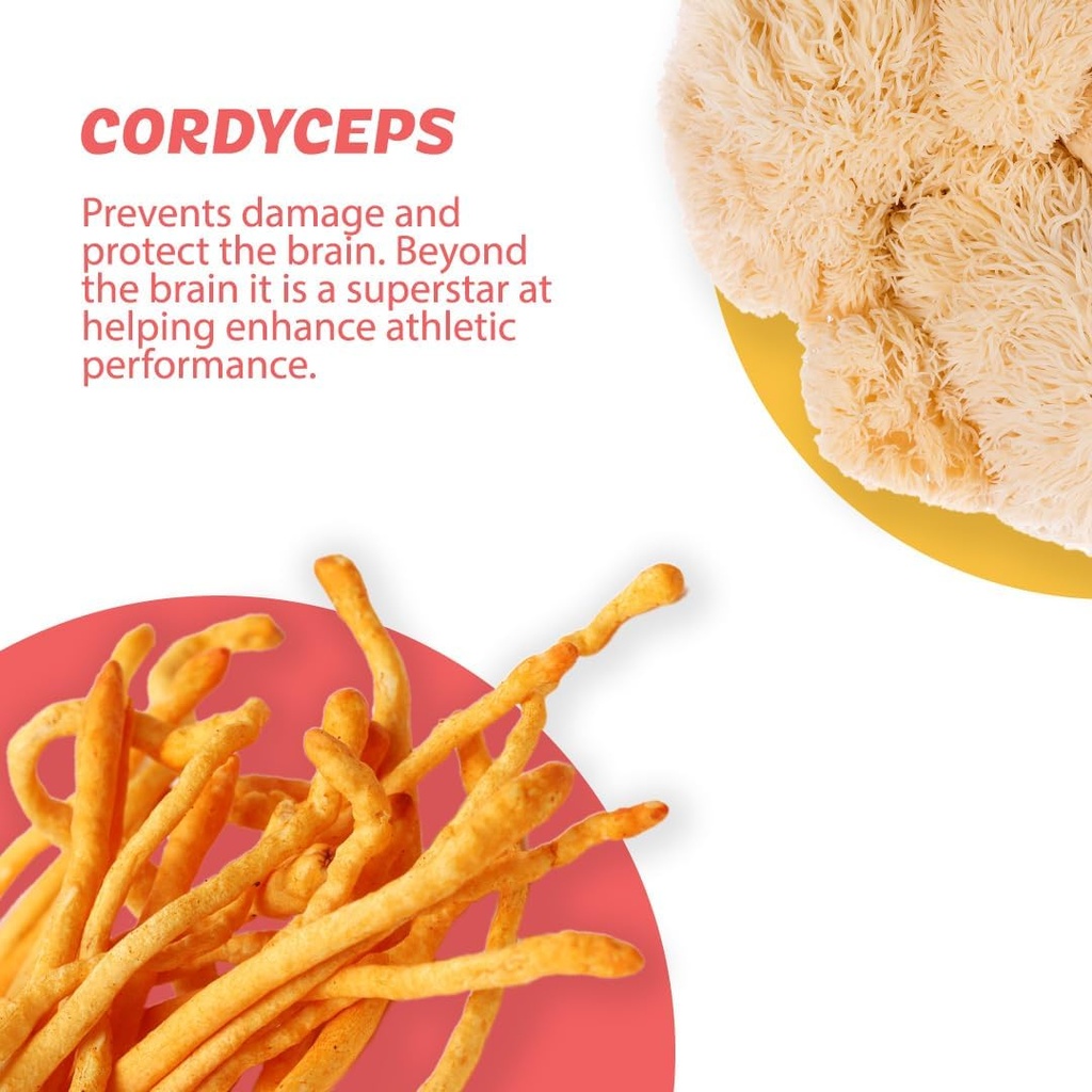 silver-star-nutrition-roots-focus-nootro-4.jpg