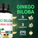 1520mg-ginkgo-biloba-supplements-with-go-3.jpg