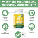 1000mg-liposomal-coq10-softgels-better-a-4.jpg