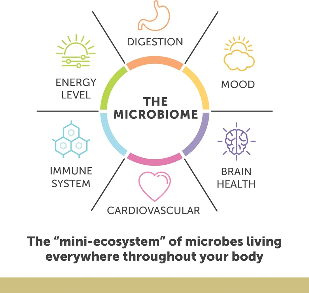 enzymedica-maximum-strength-high-potency-4.jpg
