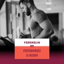 max-strength-forskolin-weight-loss-suppl-6.jpg